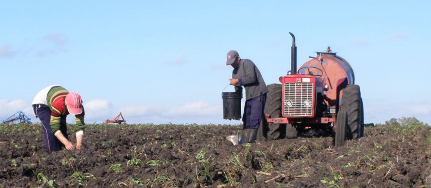 Curso  la cuestión agraria en el Uruguay: aproximaciones para su comprensión